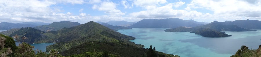 Queen Charlotte Track - South Island